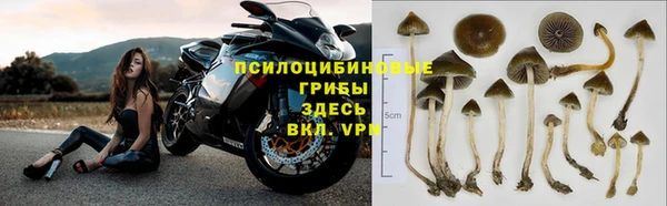 МДПВ Кодинск